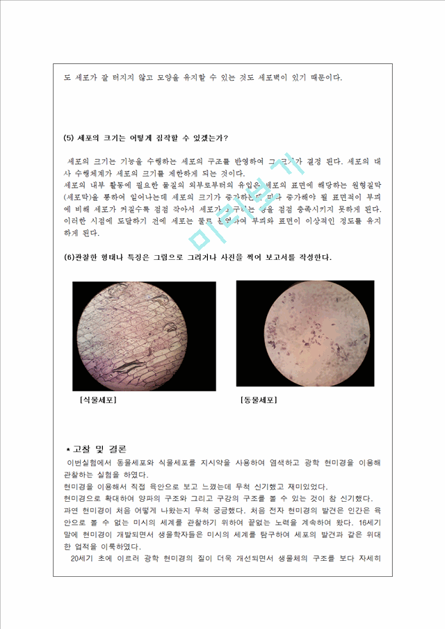 레포트 동물세포와 식물세포 비교생활전문레포트